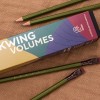 Blackwing Volume 17  Pencils (Set Of 12)