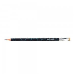Blackwing Volume 2  Pencils (Set Of 12)