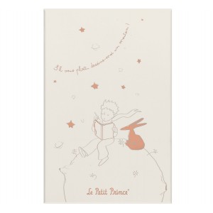 Moleskine Limited Edition Le Petit Prince Set