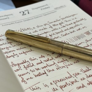 Preowned Pelikan P60 Rolled Gold Fountain Pen