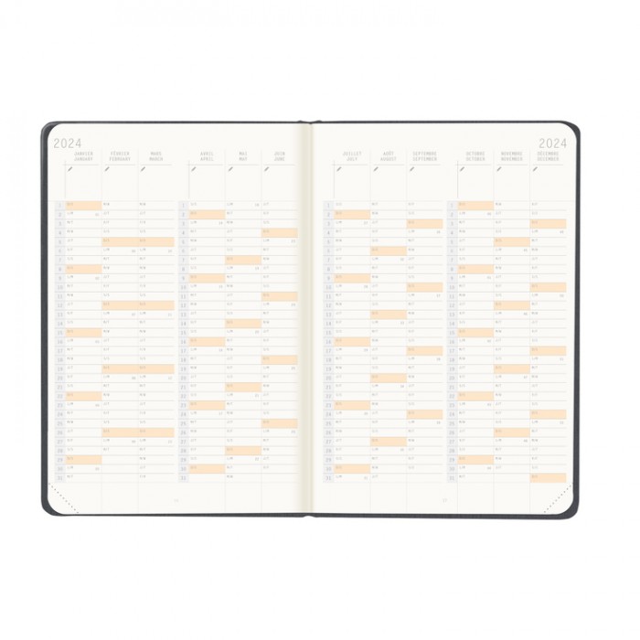 Rhodia Webplanner 2024 Orange (14 Months) 