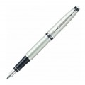 Waterman Expert City Line Silver CT Fountain Pen 